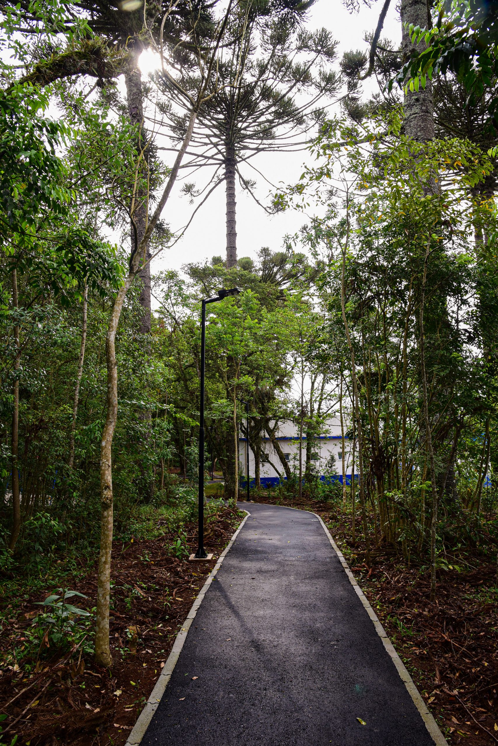 Pista de Corrida e Caminhada | Fecomércio