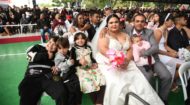 Mais de 700 casais oficializam união civil durante casamento coletivo em Curitiba | Fecomércio
